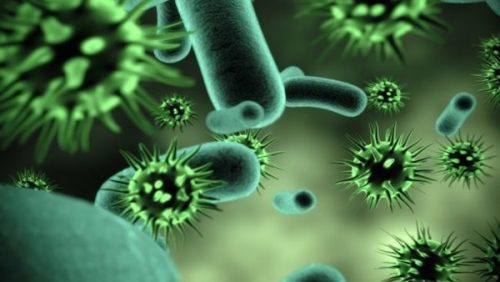 فيروس - ارشيف