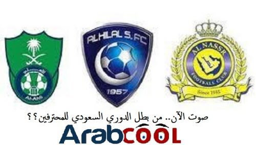 صوت الآن.. من بطل الدوري السعودي للمحترفين؟؟